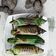 Cooksnap dari dyah adzani ambarwati untuk resep Nasi bakar tumis jamur teri