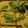 Anupa Thakkar's cooksnap of when they made સોફ્ટ ખમણ(Khaman Recipe In Gujarati).