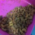 Cooksnap dari Syahbiyatul Adawiyah untuk resep Makaroni Goreng Kriuk Pedas