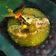 Cooksnap dari Rina S untuk resep Asem-asem Ikan Kembung