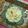 Ishita Rindani Mankad's cooksnap of when they made સાબુદાણા ખીર (Sabudana kheer recipe in Gujarati).