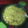 El cooksnap de David Senciales Repullo cuando hizo Arroz meloso con pechuga de pollo al curry y un toque de garam masala.