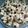 Cooksnap dari Hellen untuk resep Kue semprit Dahlia