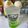 Cooksnap dari Dien Tristanti untuk resep Minuman ala KFC Float