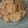 El cooksnap de Tania cuando hizo Galletitas de avena y miel.