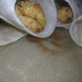 صورة من نونيز، شاركها بعد تجربة وصفة شاورما دجاج لذيذه 🌯