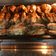 Cooksnap dari mela ulfa untuk resep Chicken roasted simpel / ayam panggang oven