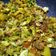 Meena Ramesh का कुकस्नैप जब उन्होंने पत्तागोभी मटर गाजर सब्ज़ी (patta gobi matar gajar sabzi recipe in Hindi) बनाया था।