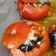 El cooksnap de Celeste Gámez cuando hizo Tomates rellenos de espinacas y queso.