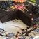 chef Nidhi Bole's cooksnap of when they made બ્રાઉની (Brownie recipe in gujarati).