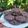El cooksnap de maría elizabeth loitey gracia cuando hizo Galletitas de avena y chocolate🍪🤍.