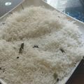 Rajvi Bhalodi's cooksnap of when they made લેમન જીરા રાઈસ (Lemon Jeera Rice Recipe In Gujarati).