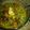 Mumtaz Ramzan's cooksnap of when they made Shahi Daleem.