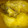 El cooksnap de Manuel Umpiérrez Ramírez cuando hizo Muslos de pollo asados a los cítricos.