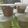 Cooksnap dari Rabiatul Munawarah untuk resep Es Krim Walls super Lembut