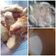 Cooksnap dari syahriani ekha untuk resep Pisang Goreng Imut
