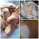 Cooksnap dari syahriani ekha untuk resep Pisang Goreng Imut