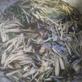 รูป Cooksnap ของ teerasak wongsasung เมื่อเขาทำ แกงเปอะหน่อไม้