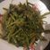 Cooksnap dari My Husband Wife untuk resep Kangkung Belacan