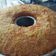 Cooksnap dari mama rafli razi untuk resep Cake simpel Nutrisari