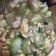 Cooksnap dari Raymond Gunawan untuk resep #4 Tumis oyong telur
