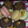 El cooksnap de Patry cuando hizo Alfajores Havanna.