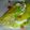 meleniejohnson2007's cooksnap of when they made Authentic Chicken Tacos (Dairy-Free, Gluten-Free).