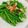 Cooksnap của Huyen le Tran khi họ làm theo món Đậu Cô Ve Xào Tỏi Nước Tương