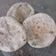 Cooksnap dari Grey untuk resep Cireng Crispy