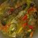 Cooksnap dari Tita Safana untuk resep Ikan Mujair Bumbu Kuning
