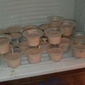 Cooksnap dari Luluk Khusnul Wahidah untuk resep Es krim rumahan (mudah, murah, lembut, enak)