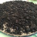 El cooksnap de Fernanda Rmz cuando hizo Tarta de Nutella y galletas Oreo.