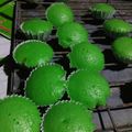 Cooksnap dari Widya Nirbita untuk resep Bolu Apem Pandan Lembut dijamin enak dan mudah