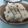 高毓襄 的 港式蘿蔔糕 cooksnap