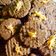 Cooksnap dari Fitri Why Wahyuni untuk resep Milo Cookies Teflon