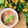 Cooksnap của Thoa Nguyen khi họ làm theo món Bún riêu cua