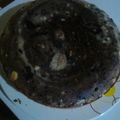 El cooksnap de Egdda Vilchez cuando hizo Torta dos huevos.