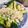 Elly食驗室 的 鹽水雞 cooksnap