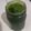 Cooksnap dari Icha bae untuk resep Jus Pandan Suji