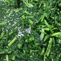 謝寶雲 的 炒山茼蒿 cooksnap