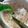 Cooksnap Ain Mohd Kitchen semasa beliau membuat Coctail simple.