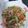 รูป Cooksnap ของ Suchaya Mooaoun เมื่อเขาทำ หมูผัดพริกสดกับหอมหัวใหญ่