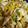 nsk2077's cooksnap of when they made Chicken Fajitas.