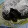 Cooksnap dari Diyank Jhie untuk resep Choco lava cake