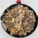 Cooksnap dari momow untuk resep Pepper lunch Rumahan
