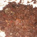Cooksnap dari Tri Purwati untuk resep Serundeng Daging Sapi pedas manis gurih