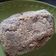 Cooksnap de La Boulangerie Virtuelle De Lou sur la recette Boulettes de lentilles