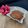 Harita Mendha's cooksnap of when they made Hibiscus Chutney.
