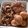 Marnie Donny's cooksnap of when they made Slow Cooker Gudeg.