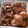 Cooksnap dari Marnie Donny untuk resep Slow Cooker Gudeg